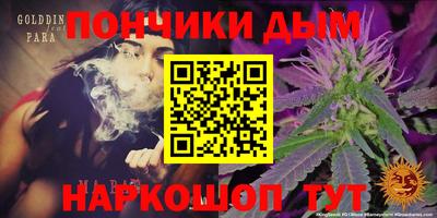 PSILOCYBIN Азнакаево