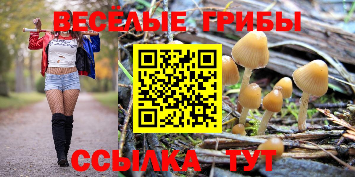 Псилоцибиновые грибы прущие грибы Абакан